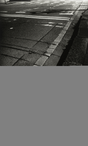 108596 Afbeelding van de goot langs het trottoir op de hoek van de Rijnlaan en de Socrateslaan te Utrecht.N.B. Zie ook ...